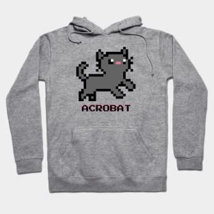 Acrobat Cat - Dark Gray Hoodie